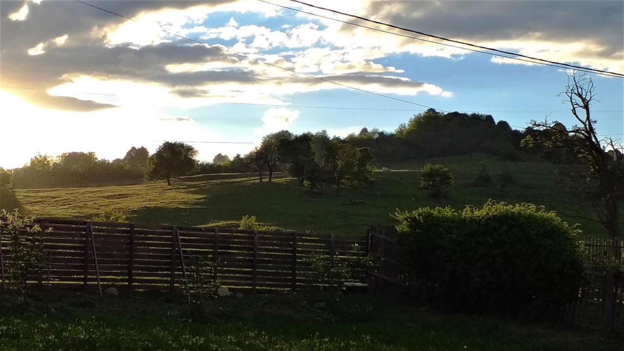La Livada Villa Valea Danului Kültér fotó