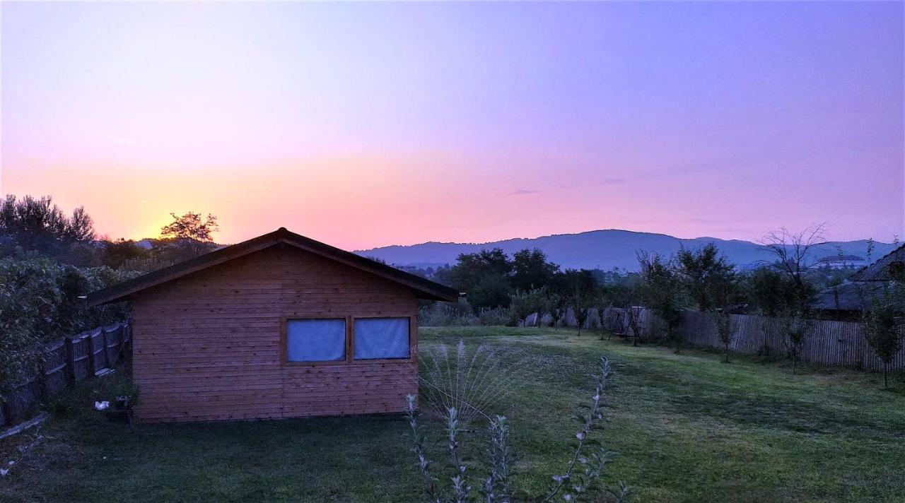 La Livada Villa Valea Danului Kültér fotó